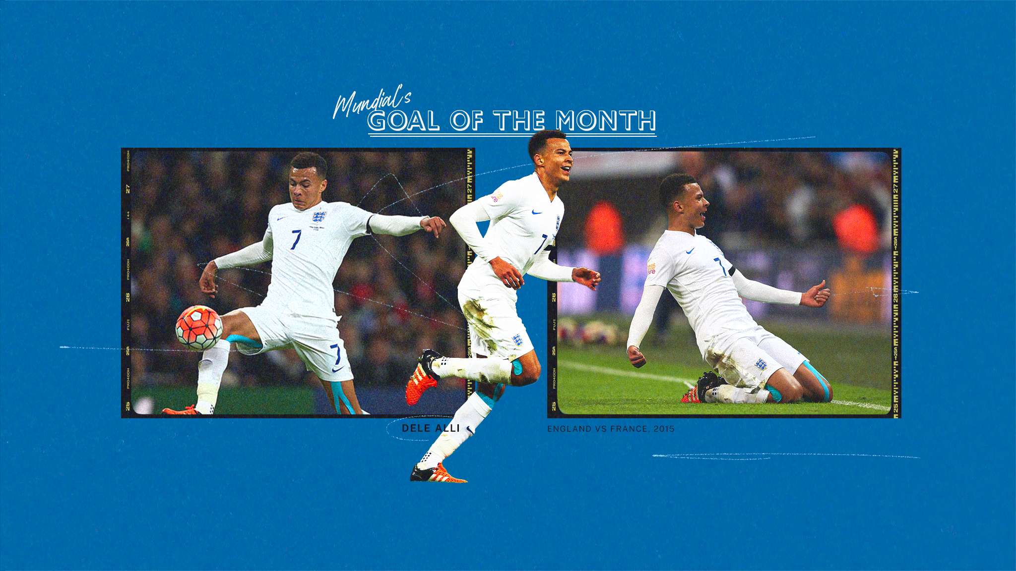 津门虎敲定 津门虎敲定