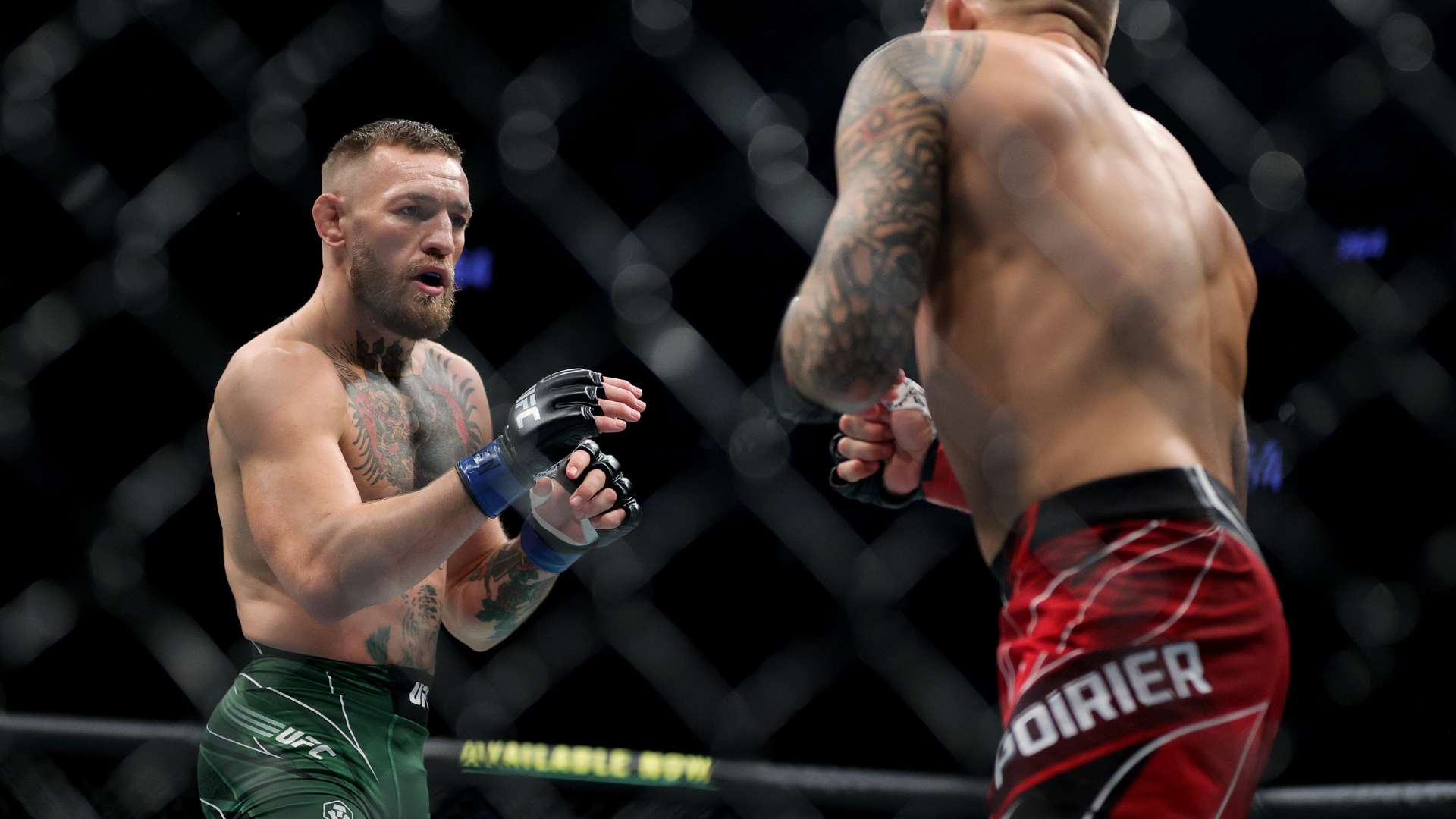 整体水平的 整体水平的