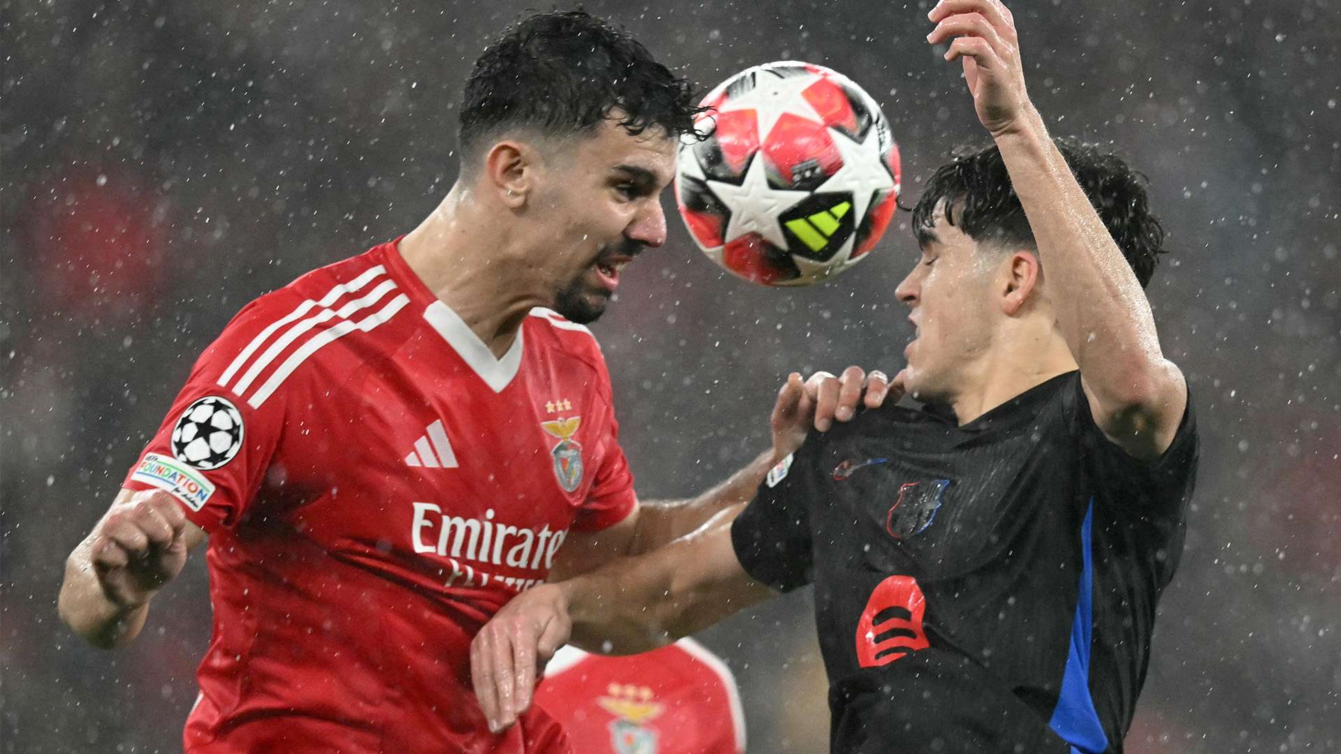 面的分析 面的分析